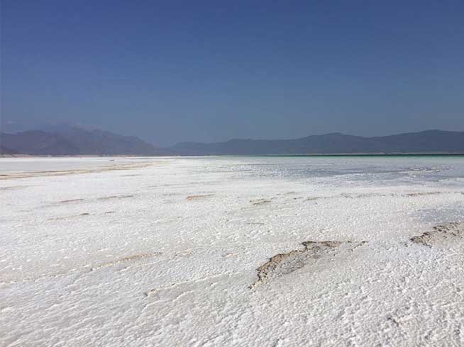 Salt-leaching Production Line